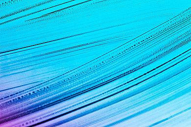 育碧否认正在重制《刺客信条1》 全力开发《刺客信条：幻景》